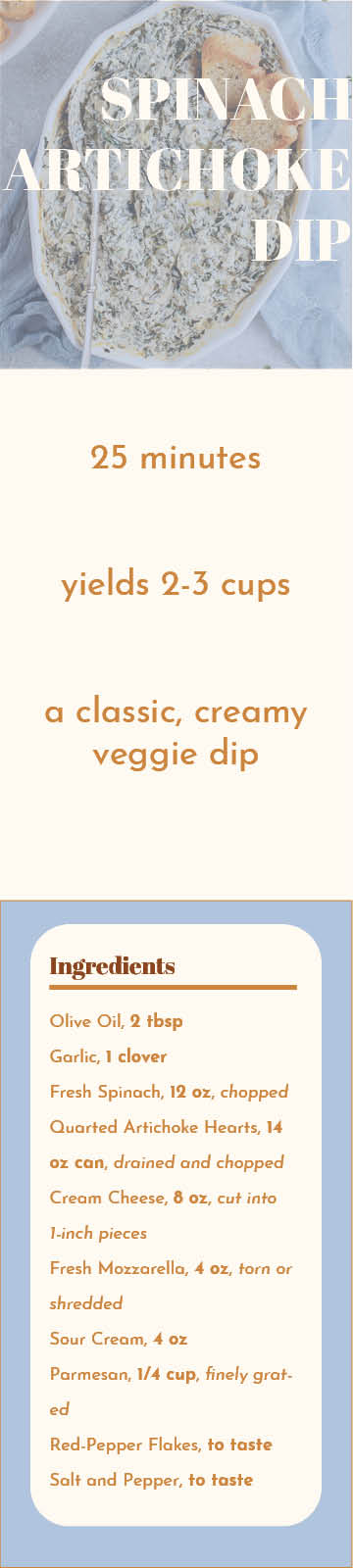 image of hifi prototype